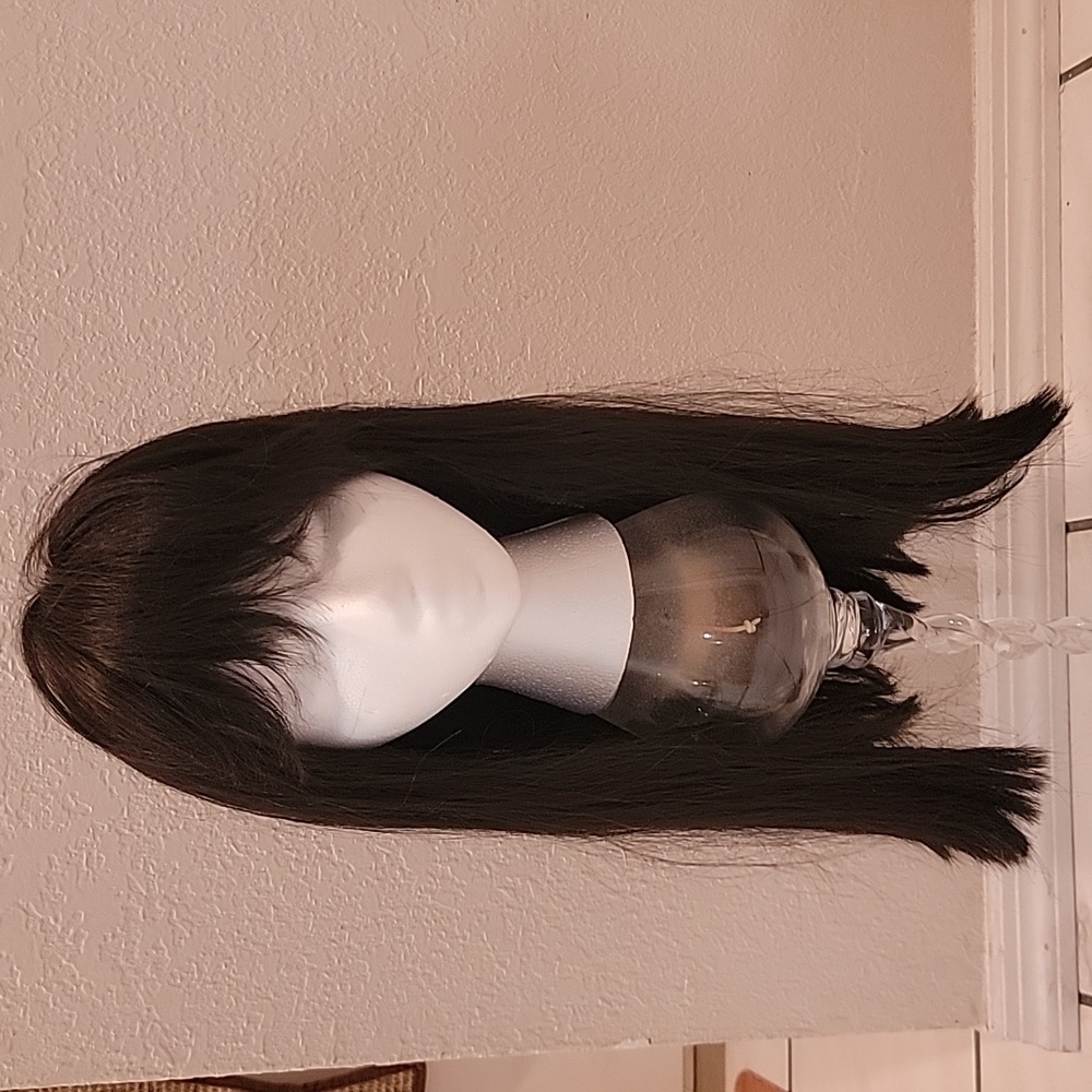 Allan Thomas Long Black Wig